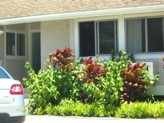 Discount Windows Doors Kaneohe Hi Hawaii 885 07